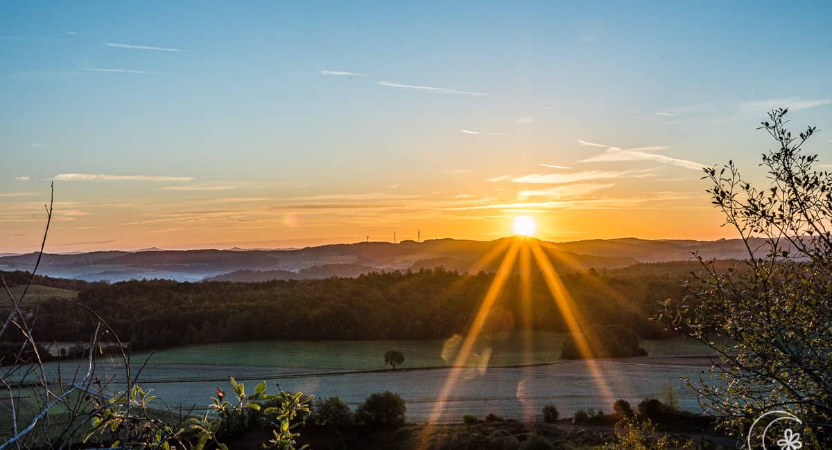 Sonnenaufgang am Rother Kopf-1594