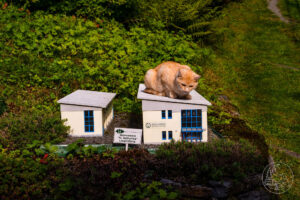 Wasserwerk Langental mit Katze