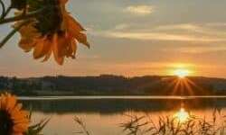 Abendblick am Campingplatz Abendblick am Campingplatz