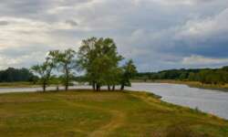 An der einsamen Elbe An der einsamen Elbe