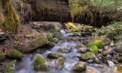 Man quert kleine Bäche, die in die Ammer fließen Man quert kleine Bäche, die in die Ammer fließen