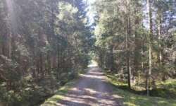 Ruhig und einsam geht es durch den Wald Ruhig und einsam geht es durch den Wald