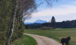 Tolle Aussicht am Moos-Erlebnis-Weg Tolle Aussicht am Moos-Erlebnis-Weg