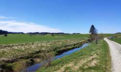 Am Kanal am Moos-Erlebnis-Weg Am Kanal am Moos-Erlebnis-Weg