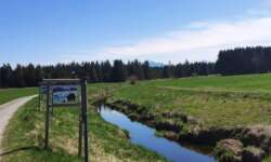 Am Kanal im MEP mit Bergblick