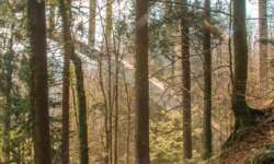 Perfektes Wanderwetter im Eistobel Perfektes Wanderwetter im Eistobel