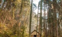 Hütte im Eistobel Hütte im Eistobel