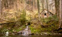 Die Hütte am Argen Die Hütte am Argen