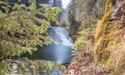 Blick durchs Grün Blick durchs Grün