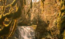 Blick nach dem Aufstieg - der große Wasserfall Blick nach dem Aufstieg - der große Wasserfall