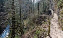 Der Wanderweg durch den Eistobel Der Wanderweg durch den Eistobel