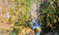 der große Wasserfall der große Wasserfall