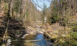 Im Eistobel Im Eistobel