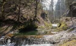 Die Argenschlucht Die Argenschlucht
