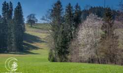 Nach dem Aufstieg Nach dem Aufstieg