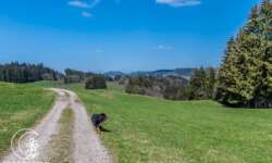 Sonne, Natur und schöne Wege Sonne, Natur und schöne Wege