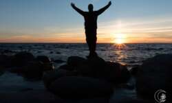 Hiddens Rev Hiddens Rev