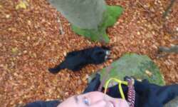 Klettercaches Klettercaches