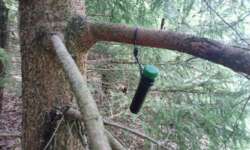 Lauber oder Nadler Lauber oder Nadler