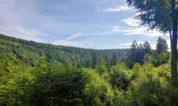 Blick über den Spessart Blick über den Spessart