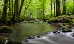 kleiner Wasserfall kleiner Wasserfall