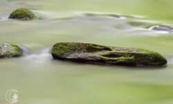 Stein im Wasser Stein im Wasser