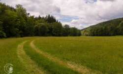 Über die Felder zurück Über die Felder zurück