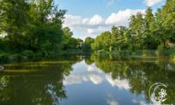 Der Stadtpark um die Innenstadt, Platz zum Joggen und Entspannen Der Stadtpark um die Innenstadt, Platz zum Joggen und Entspannen