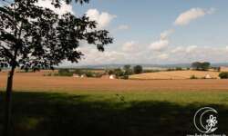 Blick zum Harz Blick zum Harz