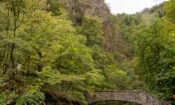 Die Teufelsbrücke im Bodetal Die Teufelsbrücke im Bodetal