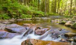 Bachromantik im Ilsetal Bachromantik im Ilsetal