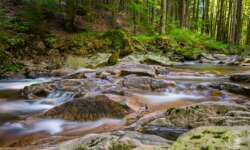 Bachromantik im Ilsetal Bachromantik im Ilsetal