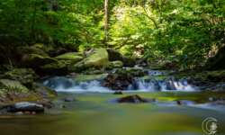 Bachromantik im Ilsetal Bachromantik im Ilsetal