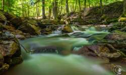 Bachromantik im Ilsetal Bachromantik im Ilsetal