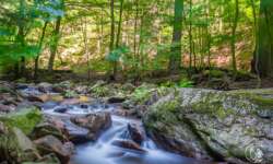 Bachromantik im Ilsetal Bachromantik im Ilsetal