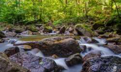 Bachromantik im Ilsetal Bachromantik im Ilsetal