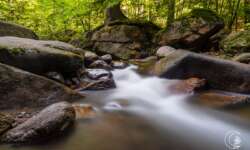 Bachromantik im Ilsetal Bachromantik im Ilsetal