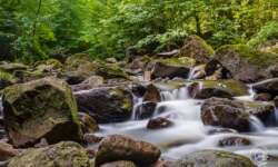 Bachromantik im Ilsetal Bachromantik im Ilsetal