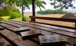 Schutzhütte und Aussichtshütte am Infotafel am Hainbuchenweg im Hainbuchenwald Gieboldehausen Schutzhütte und Aussichtshütte am Infotafel am Hainbuchenweg im Hainbuchenwald Gieboldehausen