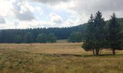 Traumhafte Landschaften beim Geocaching im Harz Traumhafte Landschaften beim Geocaching im Harz