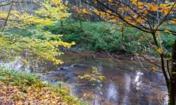 Wanderung durch die Schwarzachklamm im Nürnberger Land Wanderung durch die Schwarzachklamm im Nürnberger Land