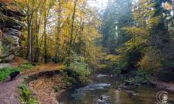 Wanderung durch die Schwarzachklamm im Nürnberger Land Wanderung durch die Schwarzachklamm im Nürnberger Land