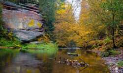 Wanderung durch die Schwarzachklamm im Nürnberger Land Wanderung durch die Schwarzachklamm im Nürnberger Land