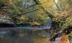 Wanderung durch die Schwarzachklamm im Nürnberger Land Wanderung durch die Schwarzachklamm im Nürnberger Land