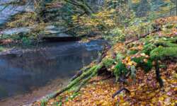 Wanderung durch die Schwarzachklamm im Nürnberger Land Wanderung durch die Schwarzachklamm im Nürnberger Land