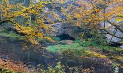 Wanderung durch die Schwarzachklamm im Nürnberger Land Wanderung durch die Schwarzachklamm im Nürnberger Land