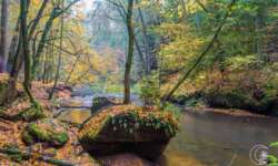 Wanderung durch die Schwarzachklamm im Nürnberger Land Wanderung durch die Schwarzachklamm im Nürnberger Land