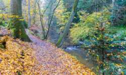 Wanderung durch die Schwarzachklamm im Nürnberger Land Wanderung durch die Schwarzachklamm im Nürnberger Land