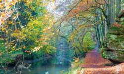 Wanderung durch die Schwarzachklamm im Nürnberger Land Wanderung durch die Schwarzachklamm im Nürnberger Land