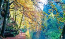 Wanderung durch die Schwarzachklamm im Nürnberger Land Wanderung durch die Schwarzachklamm im Nürnberger Land
